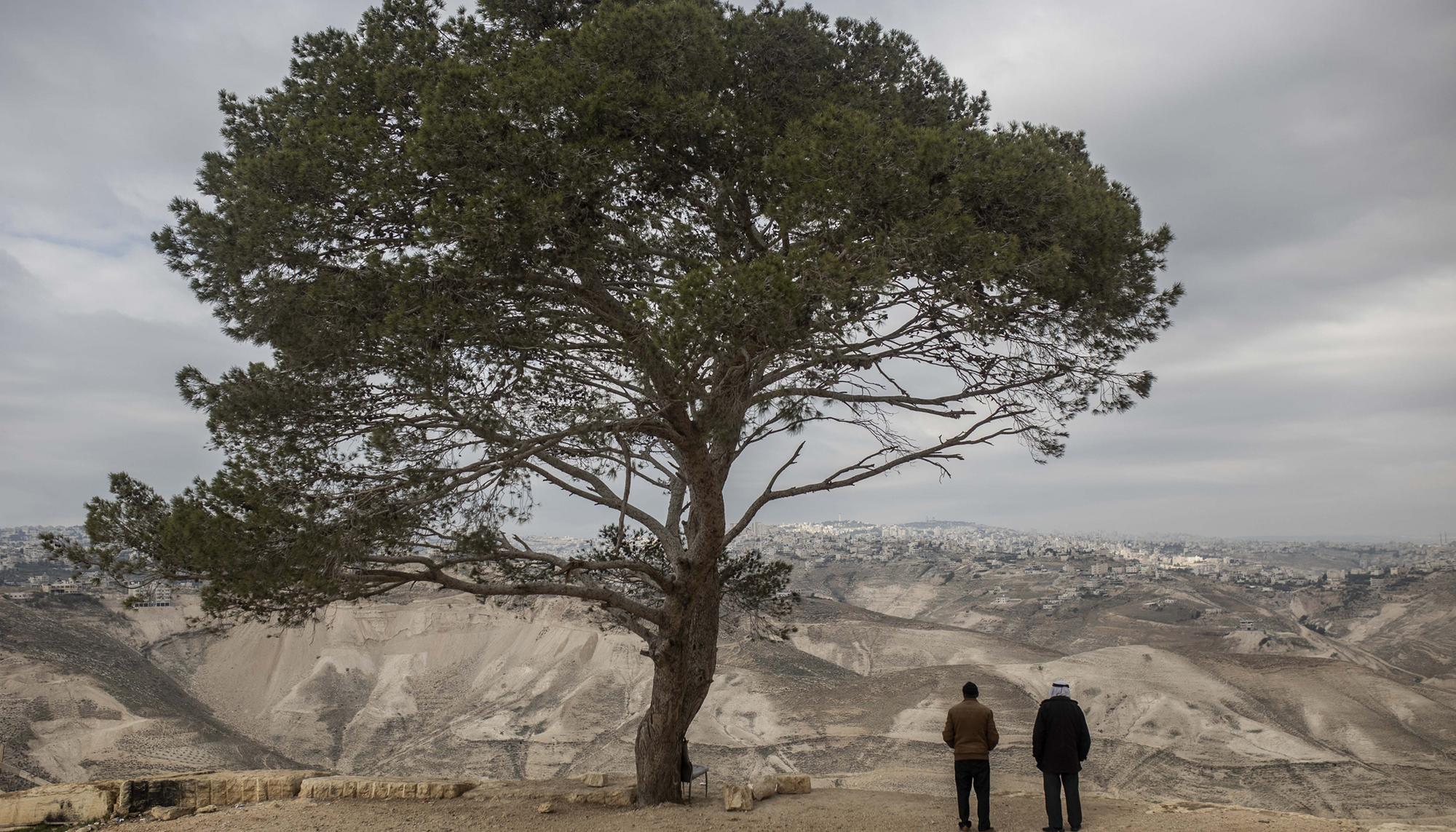 Palestina recurso nablus - 36